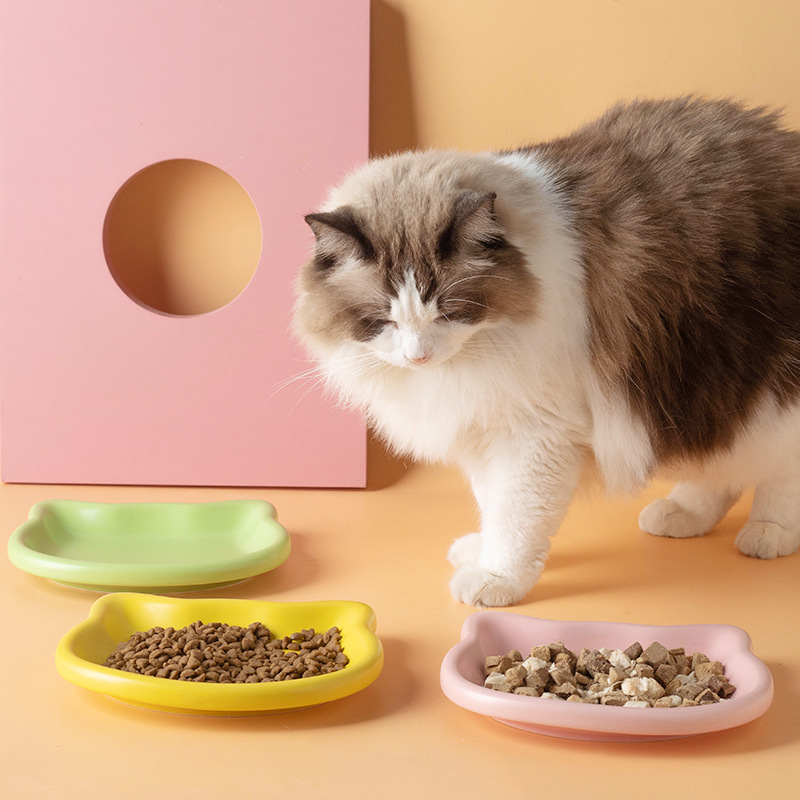 Schattig kattenvormig snackbor - Food Snacks Options recensie en prijs